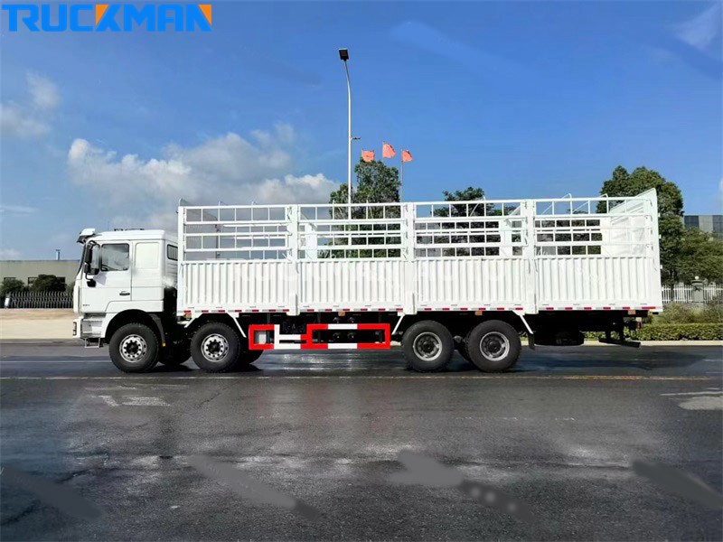 Cargo Truck