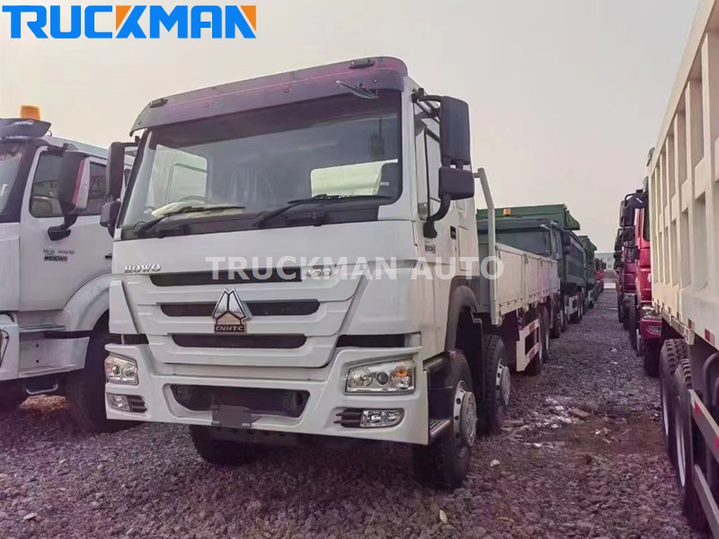 SINOTRUK HOWO Cargo Truck