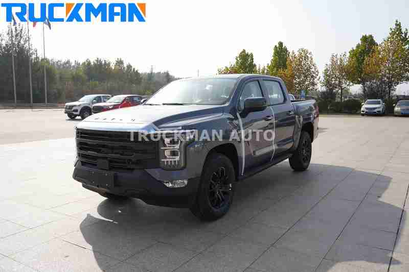 FOTON Pickup Truck