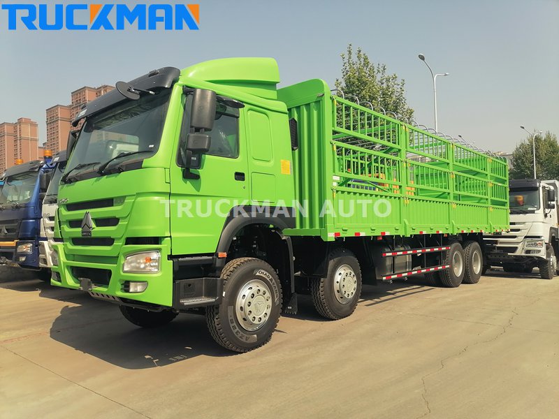 HOWO Cargo Truck