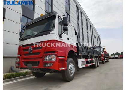10 Tires SINOTRUK HOWO 6X4 Cargo Truck To Tanzania