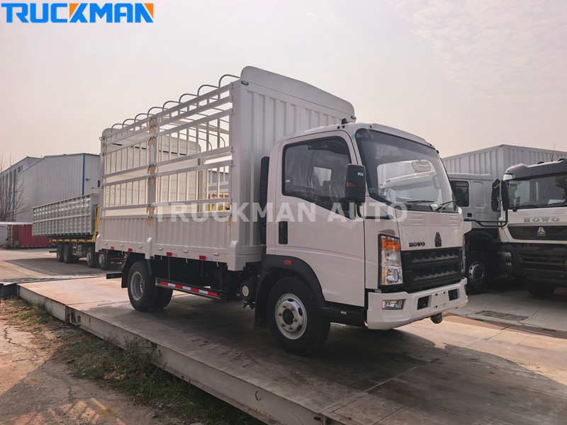 HOWO 5 Tons Cargo Truck