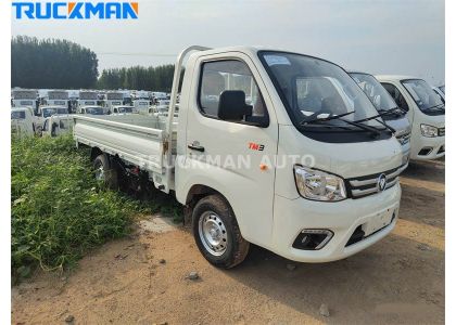4x2 FOTON TM3 Light Cargo Truck To Dominican