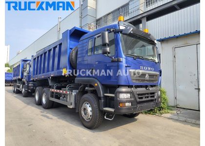 Good Quality SINOTRUK HOWO TX 10 Wheels Dump Truck For Sand To Suriname 